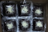 Bisnis Makanan Online
